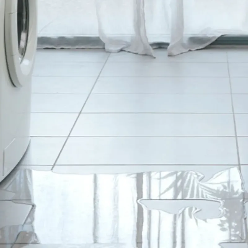 Appliance Leak Cleanup in Portage County, WI