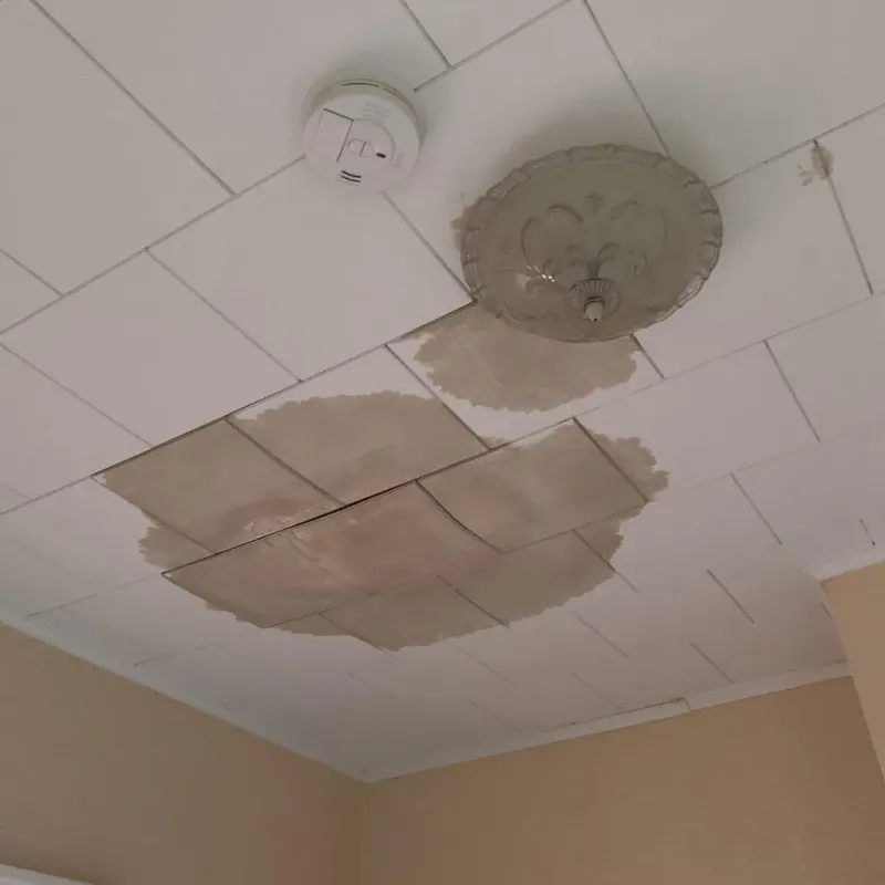 Ceiling Water Damage Repair in Portage County, WI
