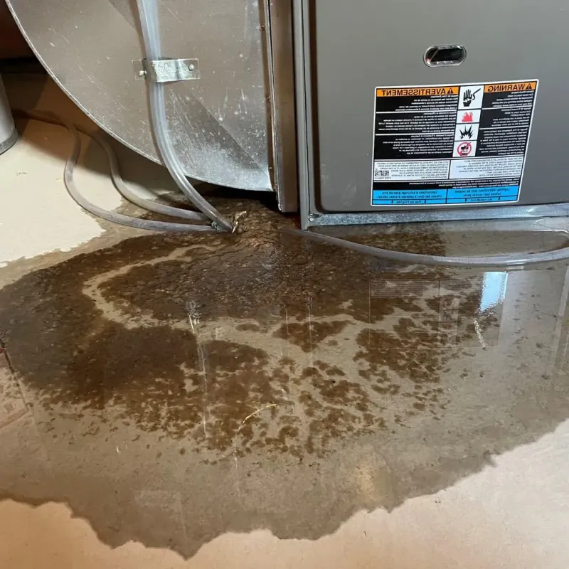 Pipe Burst and Leak Restoration in Portage County, WI